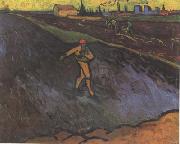 Vincent Van Gogh The Sower:Outskirts of Arles in the Background (nn04) china oil painting reproduction